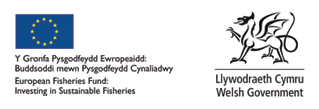 European Fisheries Fund: Investing in Sustainable Fisheries | Welsh Goverment